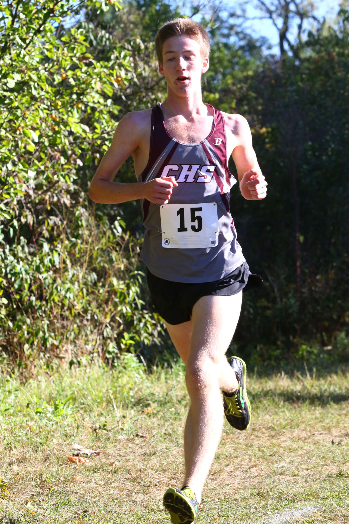 Gallery: Duneland Athletic Conference cross country meet